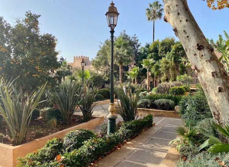 Botanical Garden, Morocco